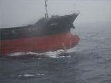日本称失踪货轮成海盗“母舰”